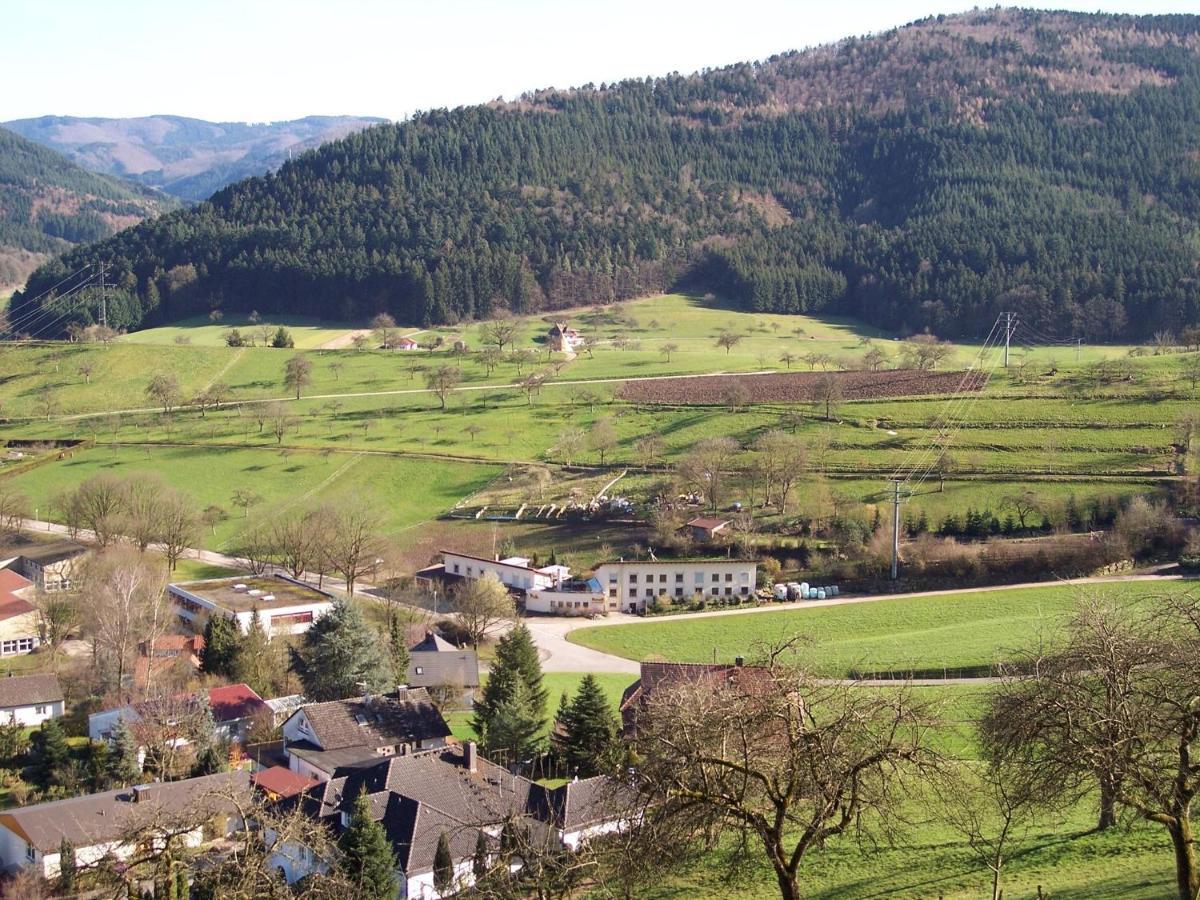 Cheerful Apartment Near City Centre Of Haslach Хаслах им Кинцихтал Екстериор снимка